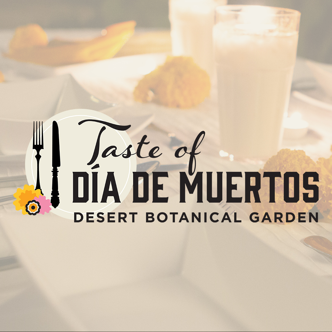 Desert Botanical Garden tweet media