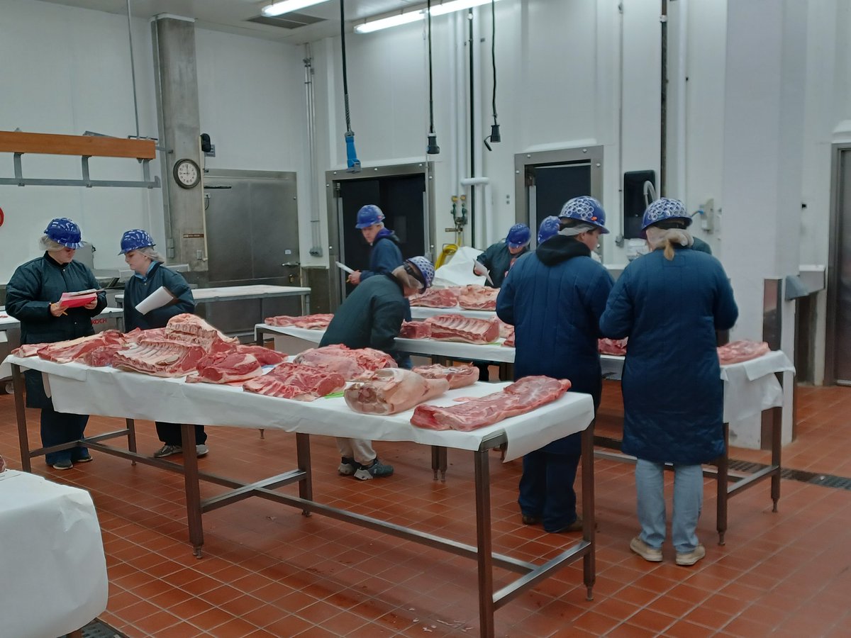 Back to work #KStateMeatJudging2022