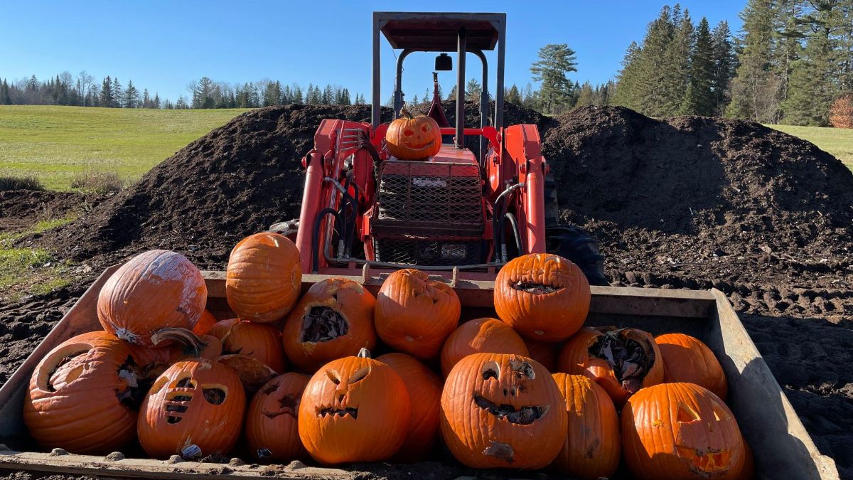 AdkAction's tweet photo. AdkAction Autumn Newsletter now in your inboxes (and right here, too) 🍁 - https://t.co/uh2VLdtB0E https://t.co/no3yiMHuRS