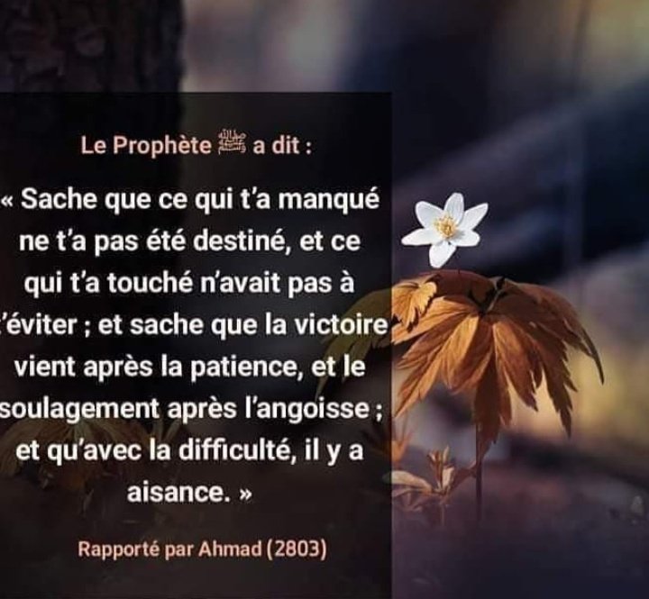 ta sœur te rappel (@fillahoukhty) on Twitter photo 
