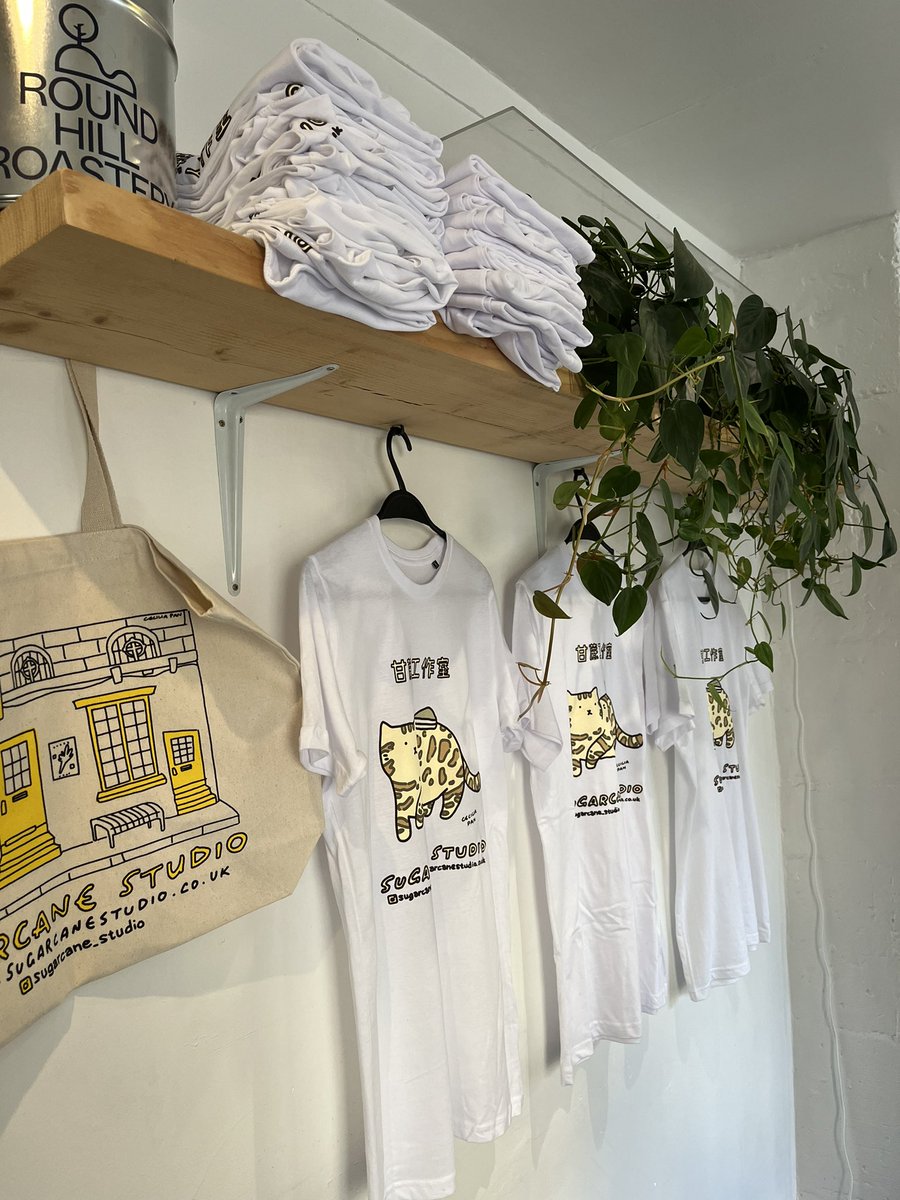 Sugarcane Studio tweet media