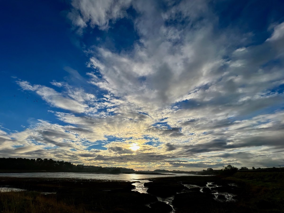 ‘Hello, is it me you’re looking for?’ Aln Estuary. #mypatch