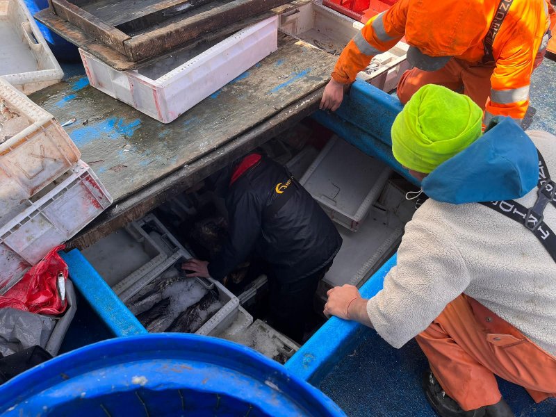Armada_Chile's tweet photo. Fiscalización pesquera en canales de la región de Aysén deja como saldo 1.8 toneladas de recursos pesqueros incautados

Los respectivos armadores no lograron acreditar el origen legal de la extracción

Detalles en https://t.co/u1IS7Qp4tP 👈

#ArmadaTeCuida https://t.co/feCOd5lr2B