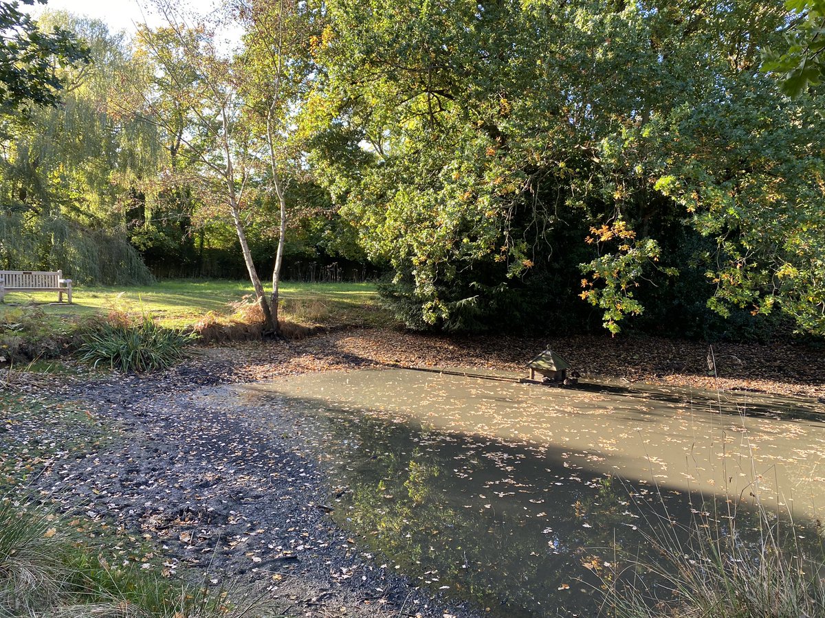 My 2 local ponds, still completely empty in late October. They used to be full of wildlife, now just sludgy pits. Just one example of the long term impacts of heatwaves and droughts… very sad…. 
#ClimateCrisis #biodiversity