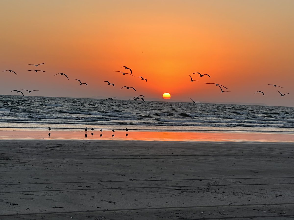 Beautiful Padi Zer Gwadar!!….