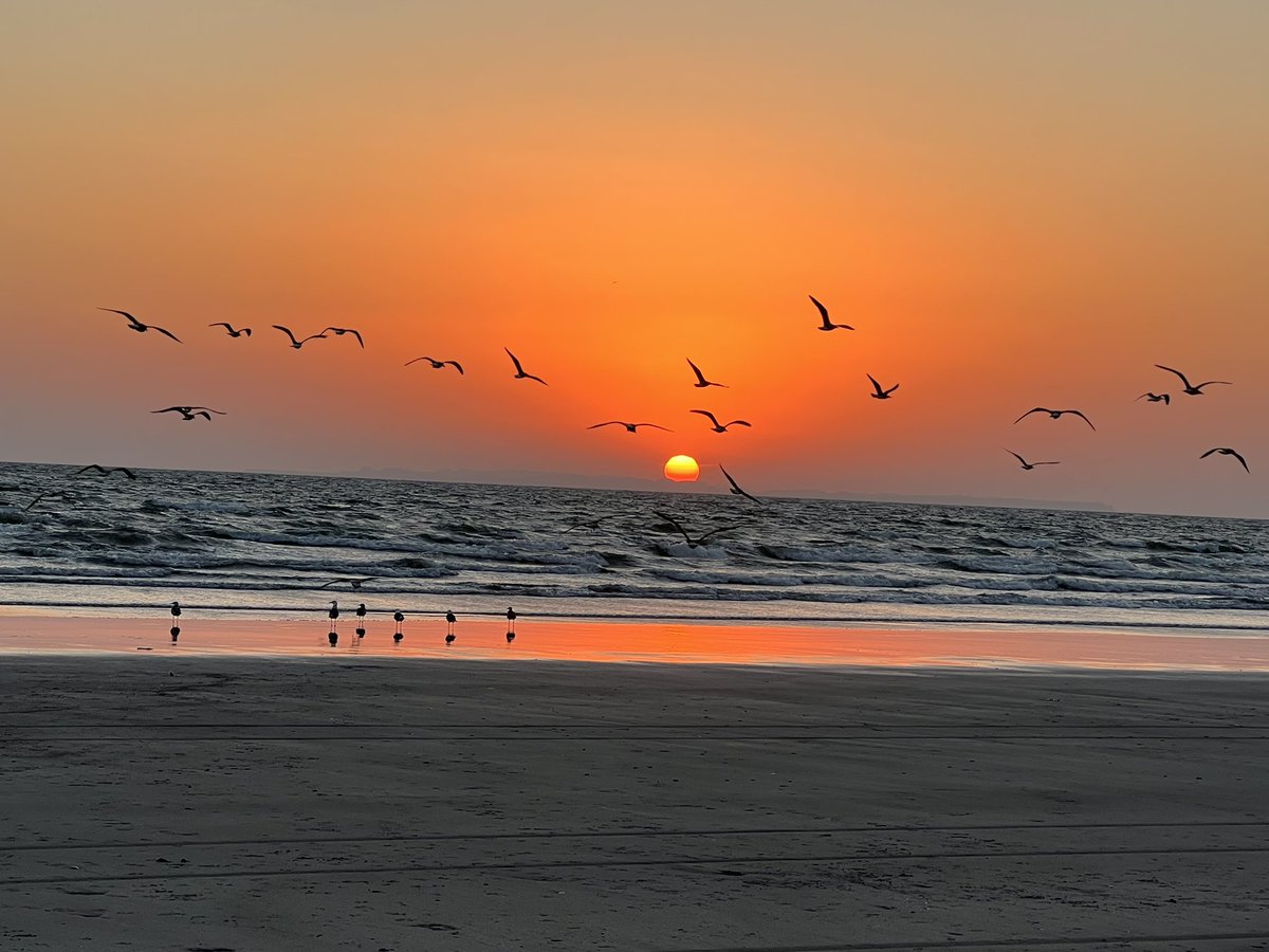 izzatbaloch's tweet photo. Beautiful Padi Zer Gwadar!!…. https://t.co/j6cOfVArXT