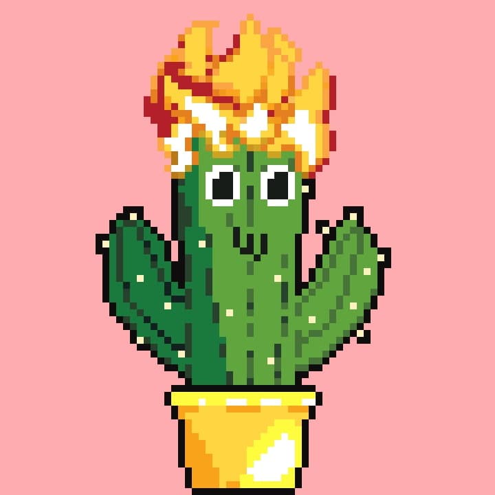 SolanaCactus tweet media