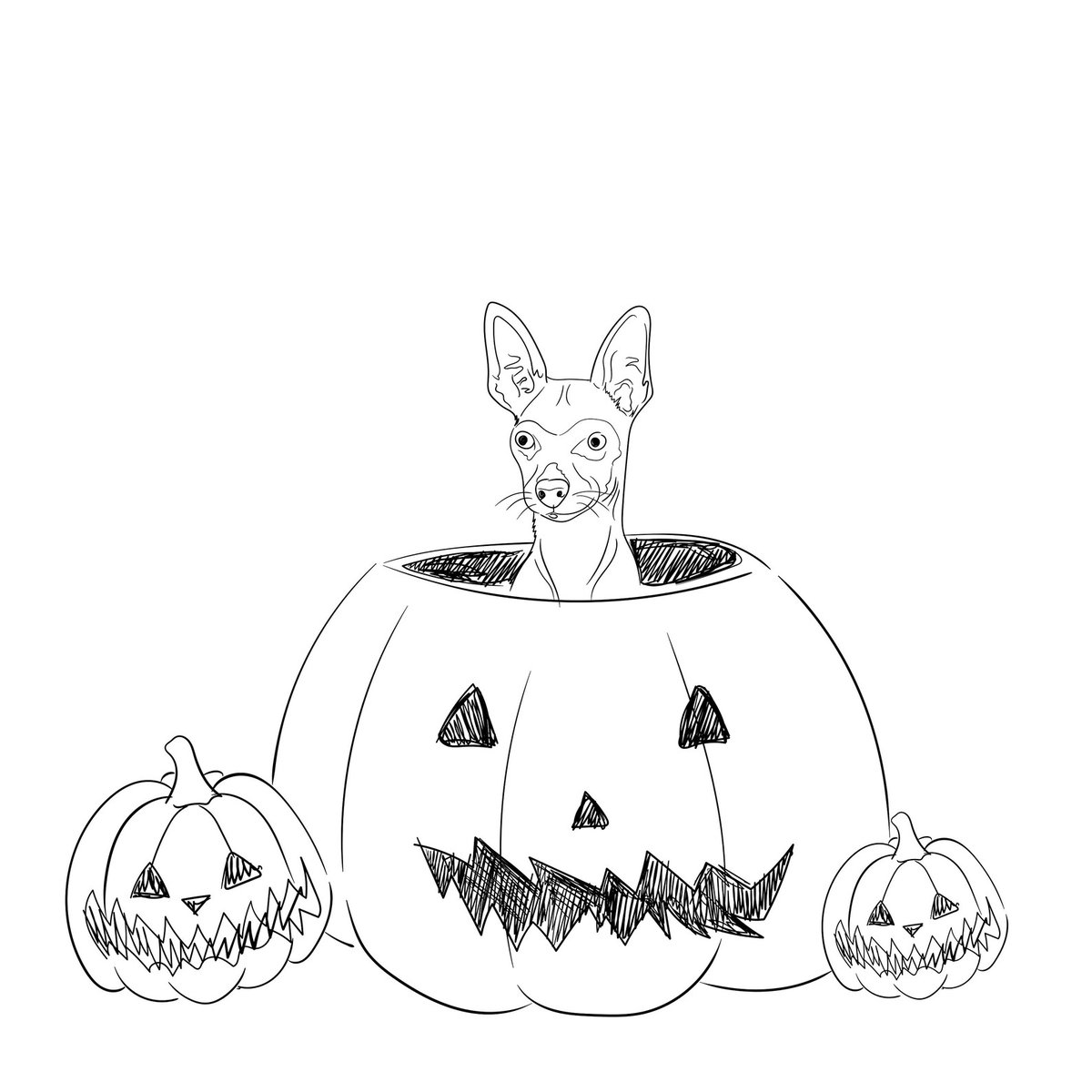 Organic NFT growth tweet media