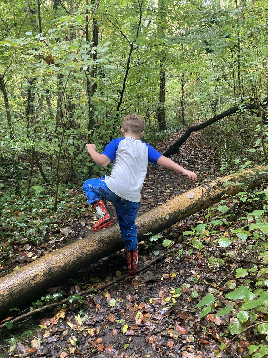 Proof that Dragons exist! A change of plans today meant we had time for a beautiful Autumnal walk, and F wanted his Saturday Club friends to know about the dragon eggs too! <a href="/YBont/">Y Bont</a> <a href="/AcademySteer/">STEER - The Enterprise Academy</a> <a href="/NASCymru/">National Autistic Society Cymru</a> Will they hatch in time for the #WorldCup2022 <a href="/FAWales/">FA WALES</a>???