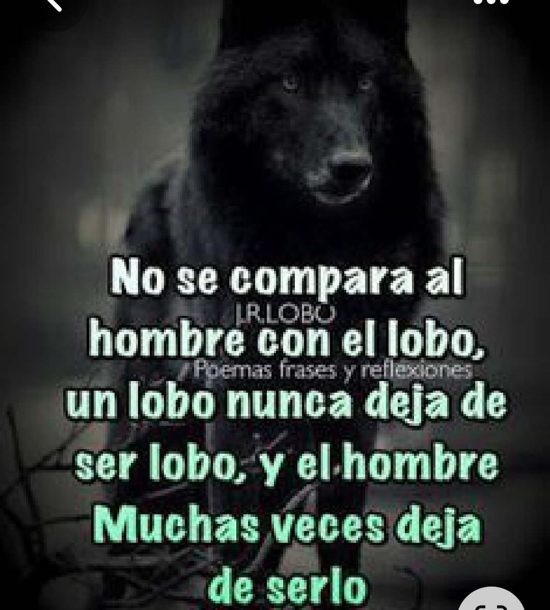 Noelia B.C (@noeliabc4) on Twitter photo 