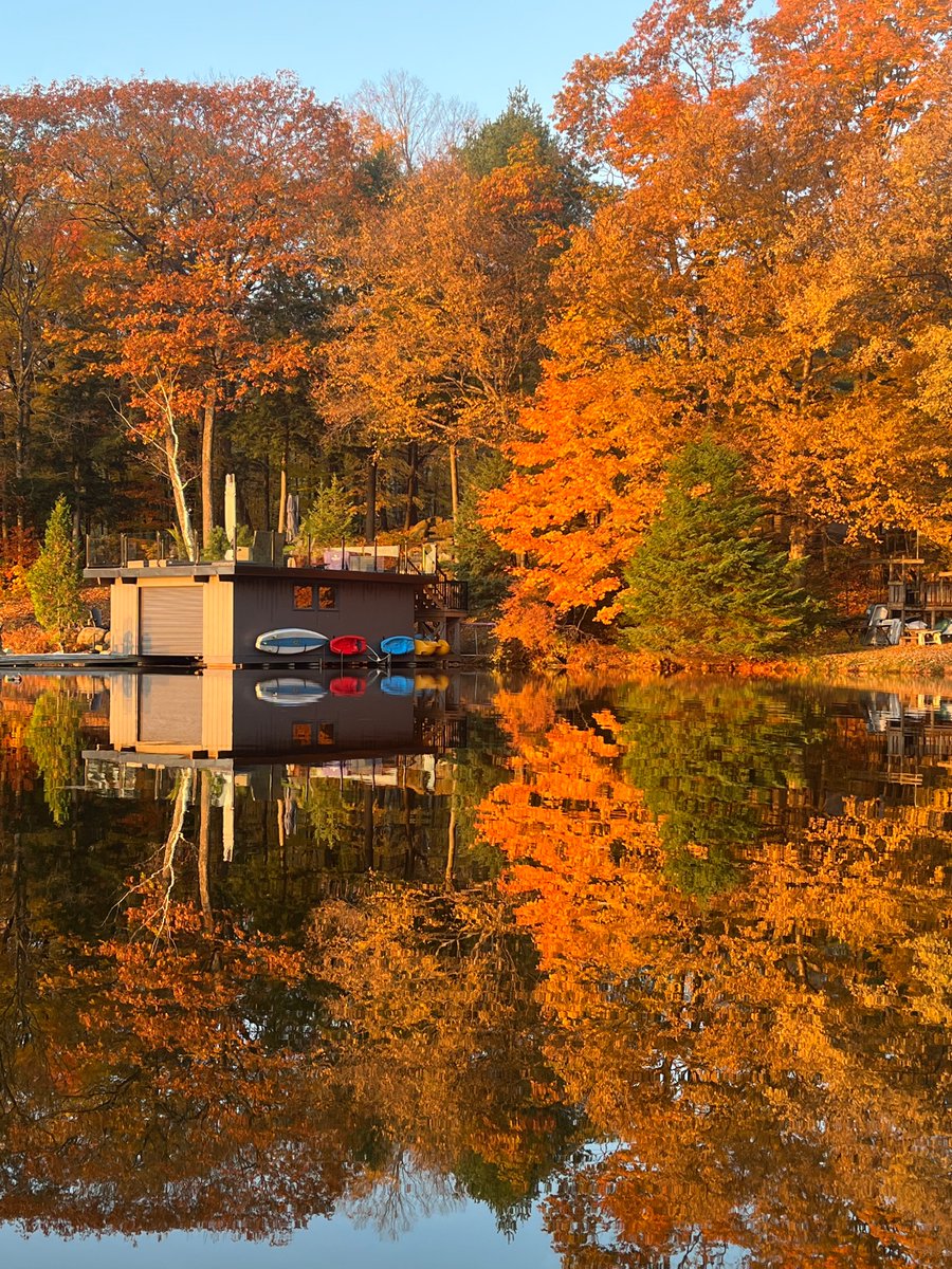 rnk_lippert's tweet photo. Suns out😎 Beautiful morning reflection. #Muskoka https://t.co/3wgt5MPWPY