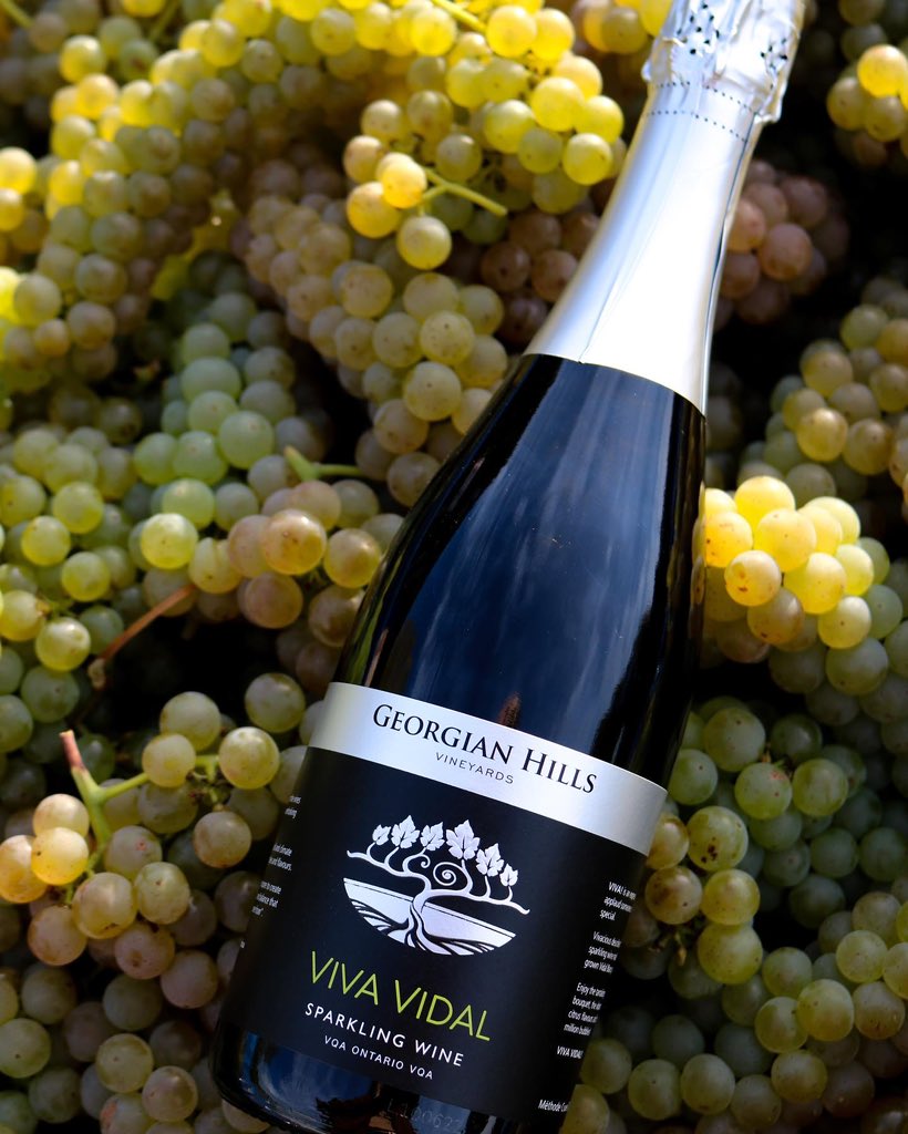 You know what pairs well with warm sunny days in late October? A glass of cool climate sparkling wine 🍾☀️ #vidalblanc #vqa #sparklingwine #poppinbottles #discoverON <a href="/WineCountryOnt/">Wine Country Ontario</a>