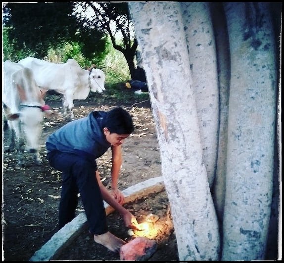 mayurautade_'s tweet photo. आम्ही कृषीप्रधान संस्कृतीचे पाईक आहोत.. ❤️

#दिवाळी #दिवेलागन #सांजवेळ #परंपरा #संस्कृती #म #मराठी https://t.co/ePbynZyZJy
