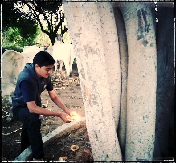 mayurautade_'s tweet photo. आम्ही कृषीप्रधान संस्कृतीचे पाईक आहोत.. ❤️

#दिवाळी #दिवेलागन #सांजवेळ #परंपरा #संस्कृती #म #मराठी https://t.co/ePbynZyZJy