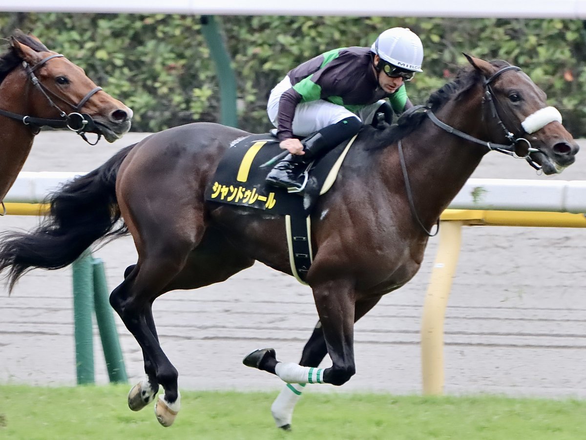 最大75%オフ! 競馬 ミニ色紙 オメガパフューム デムーロ直筆サイン