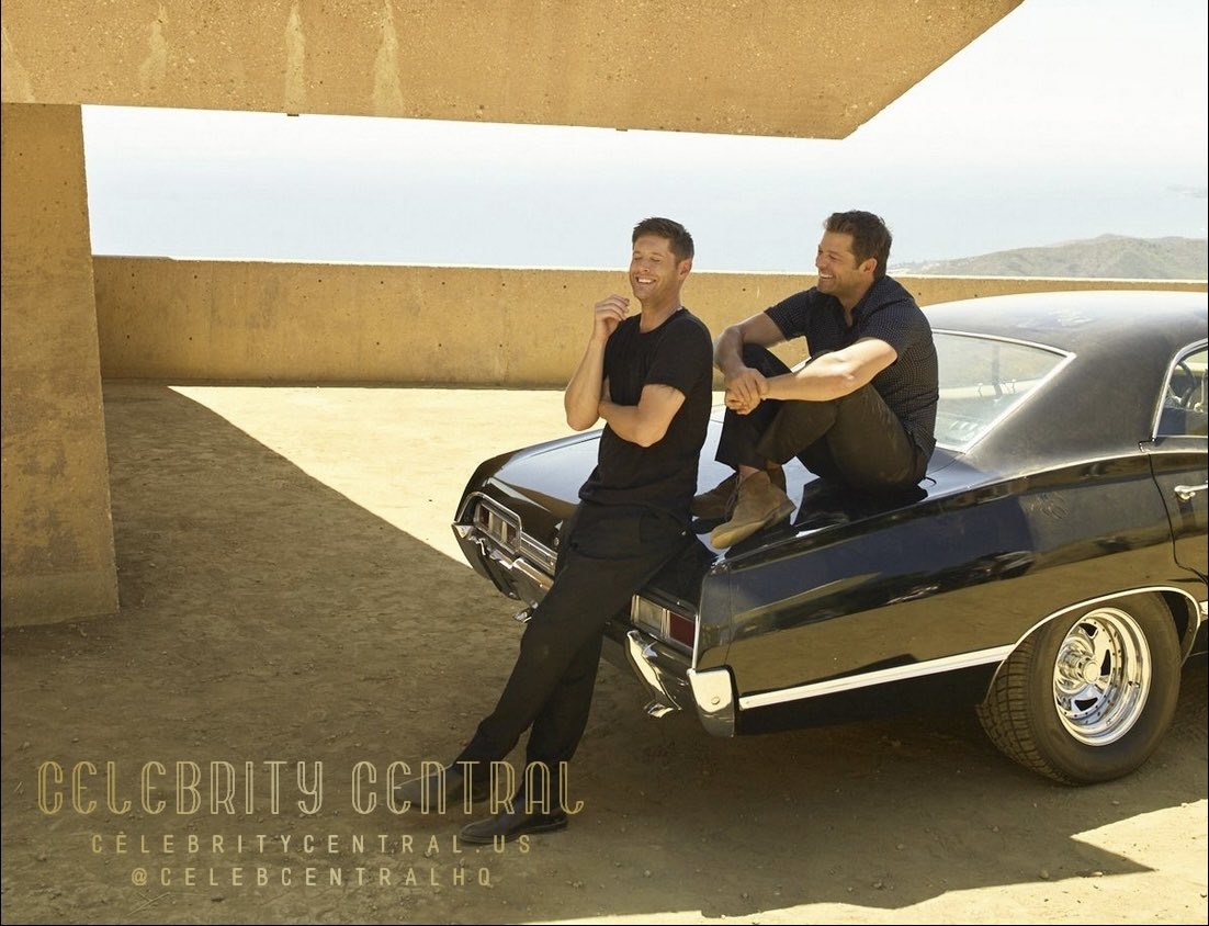 kit.🪽 tweet media