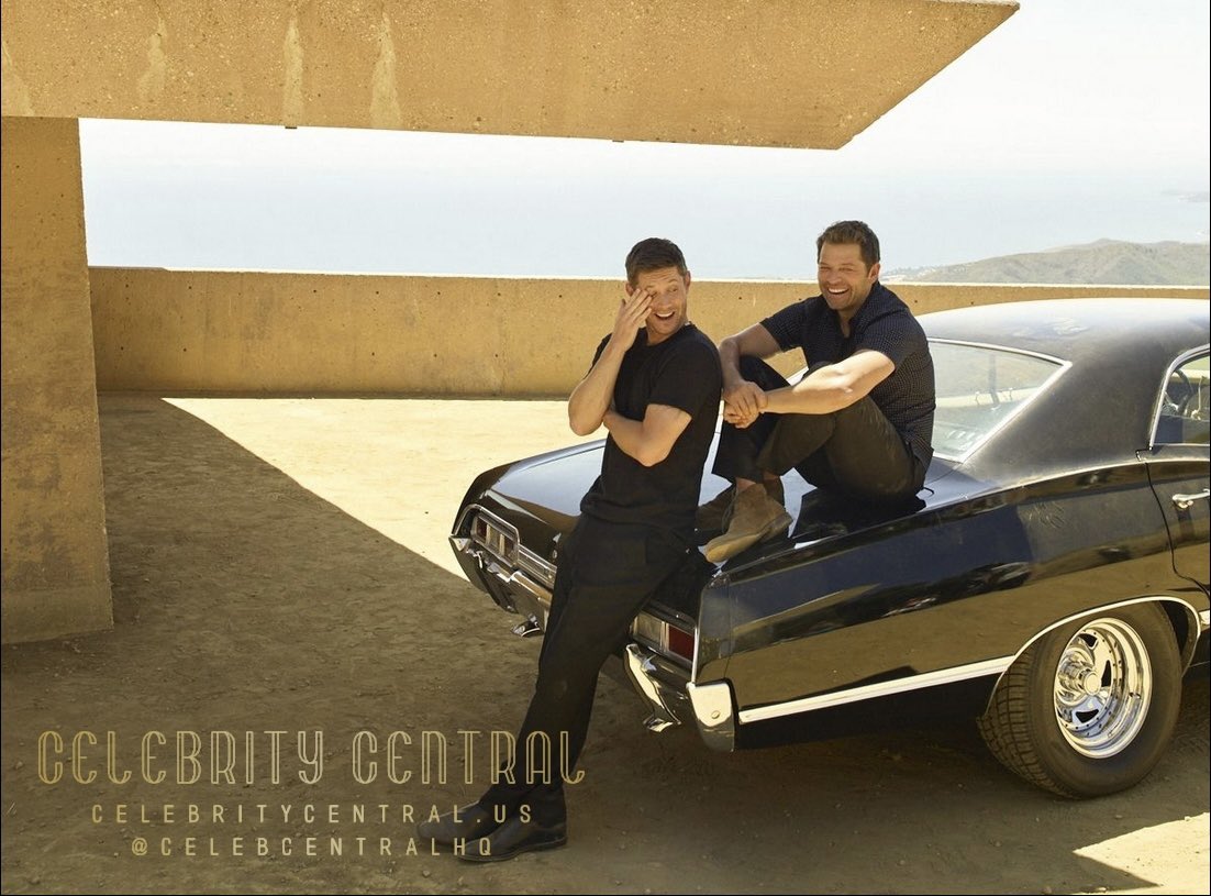 kit.🪽 tweet media