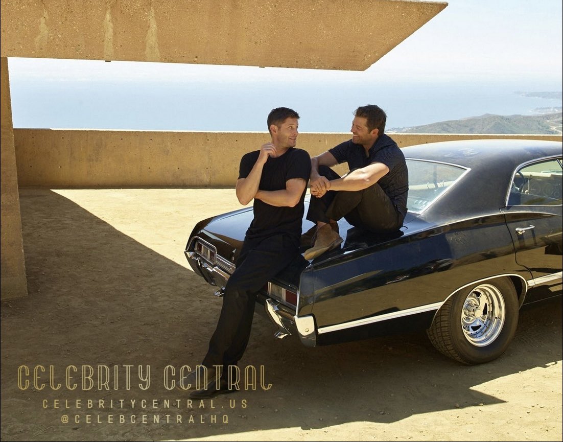 kit.🪽 tweet media