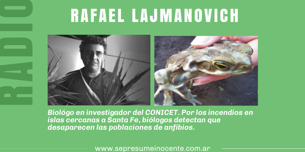 Estamos comunicados con Rafael Lajmanovich, biológo, investigador del CONICET. Por los incendios en las islas, biológos detectan que desaparecen las poblaciones de anfibios. Escuchanos por <a href="/Nacional_StaFe/">Nacional Santa Fe</a>