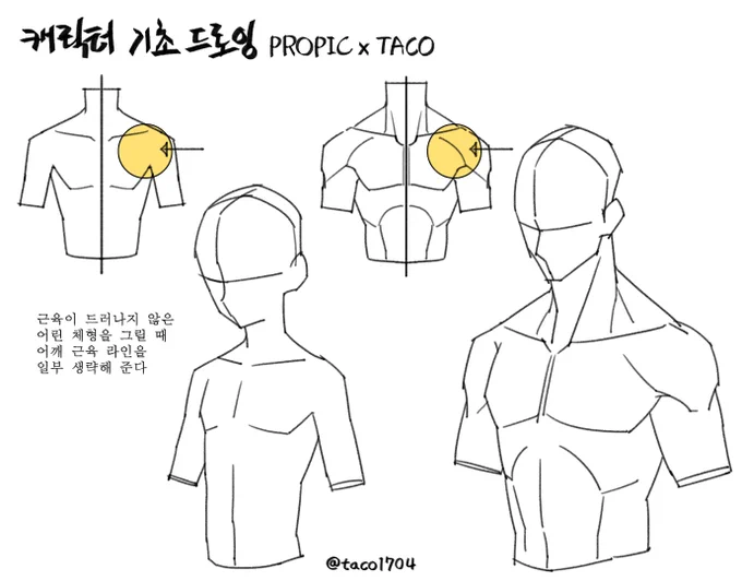 근육이 드러나지 않는 어린 체형을 그릴 때 어깨 근육 라인을 일부 생략한다 