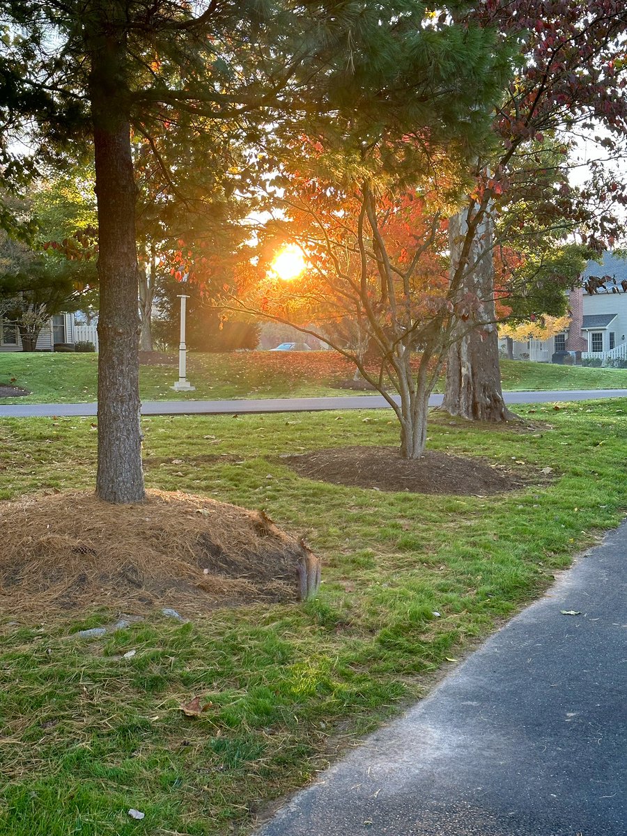 Fall mornings…. #sunrise #fallleaves #moringlight #SaturdayVibes