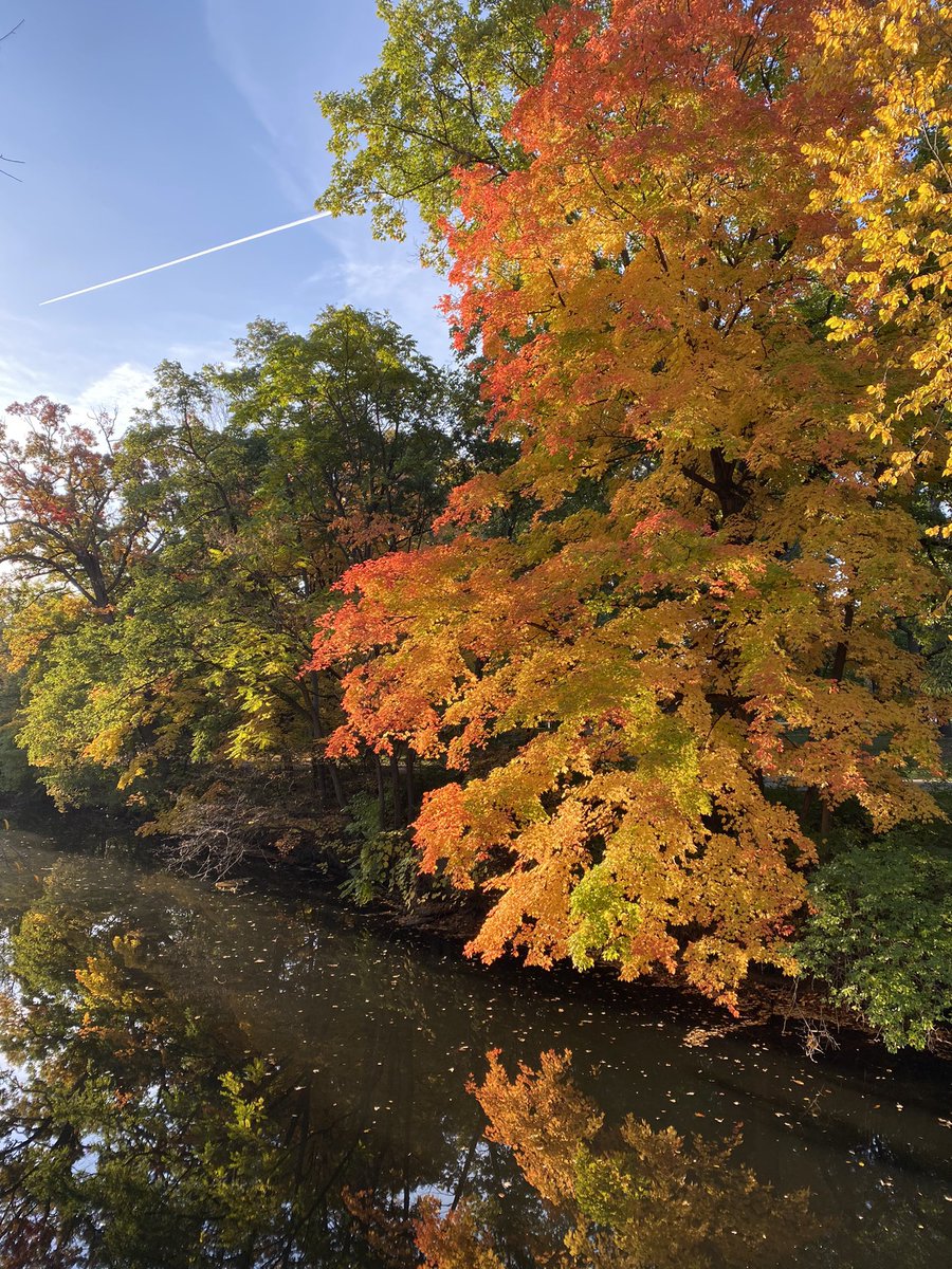 hmricks74's tweet image. Finding moments of beauty in old spaces with good people. 🍁