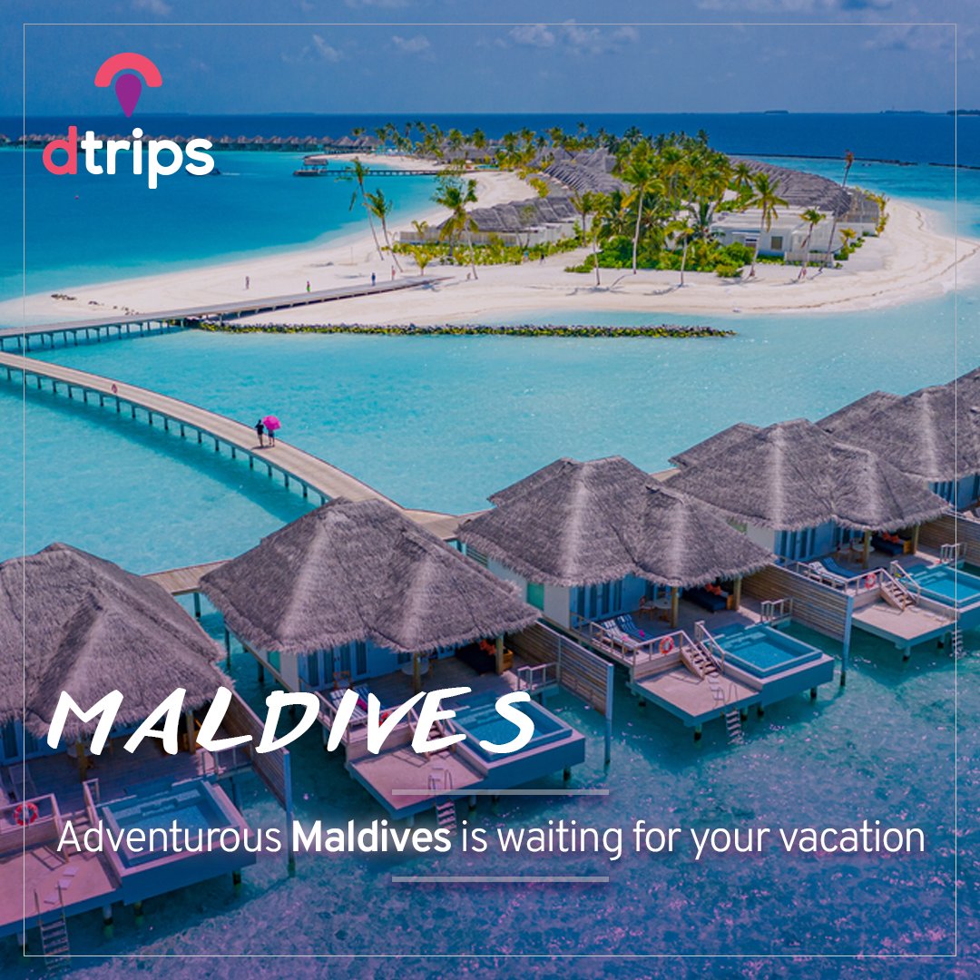 dtripscom's tweet photo. This land of gorgeous scenery and tropical climate, plentiful sunshine, and relaxed resort culture has pulled travelers from far and wide.
#traveltheworld #itstimetotravel #hotelbooking #flightbooking #tourpackage #maldivesholidays #holidayinmaldives #maldives #beaches https://t.co/bu1waQ09xt