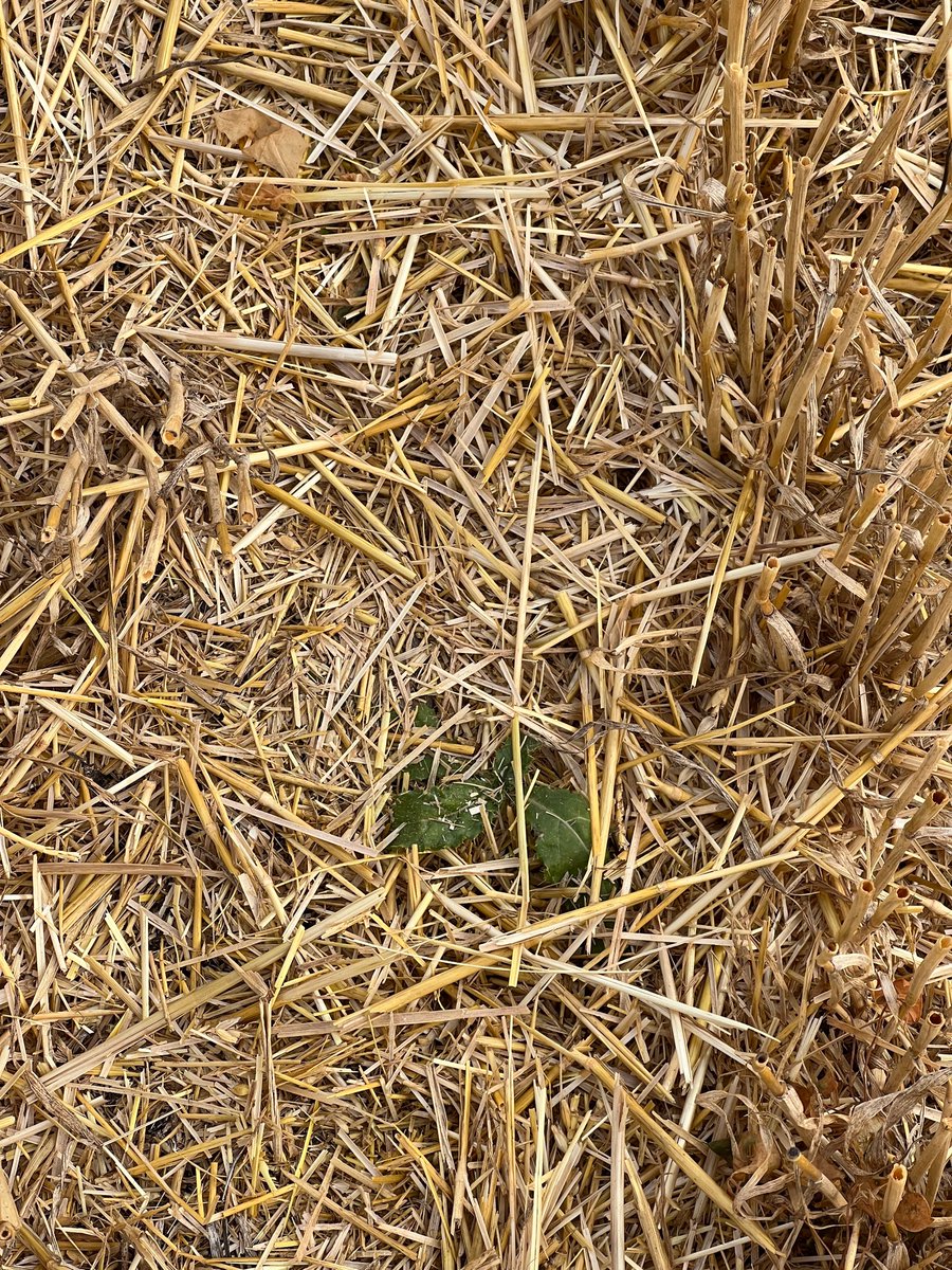 Mark Keating tweet media