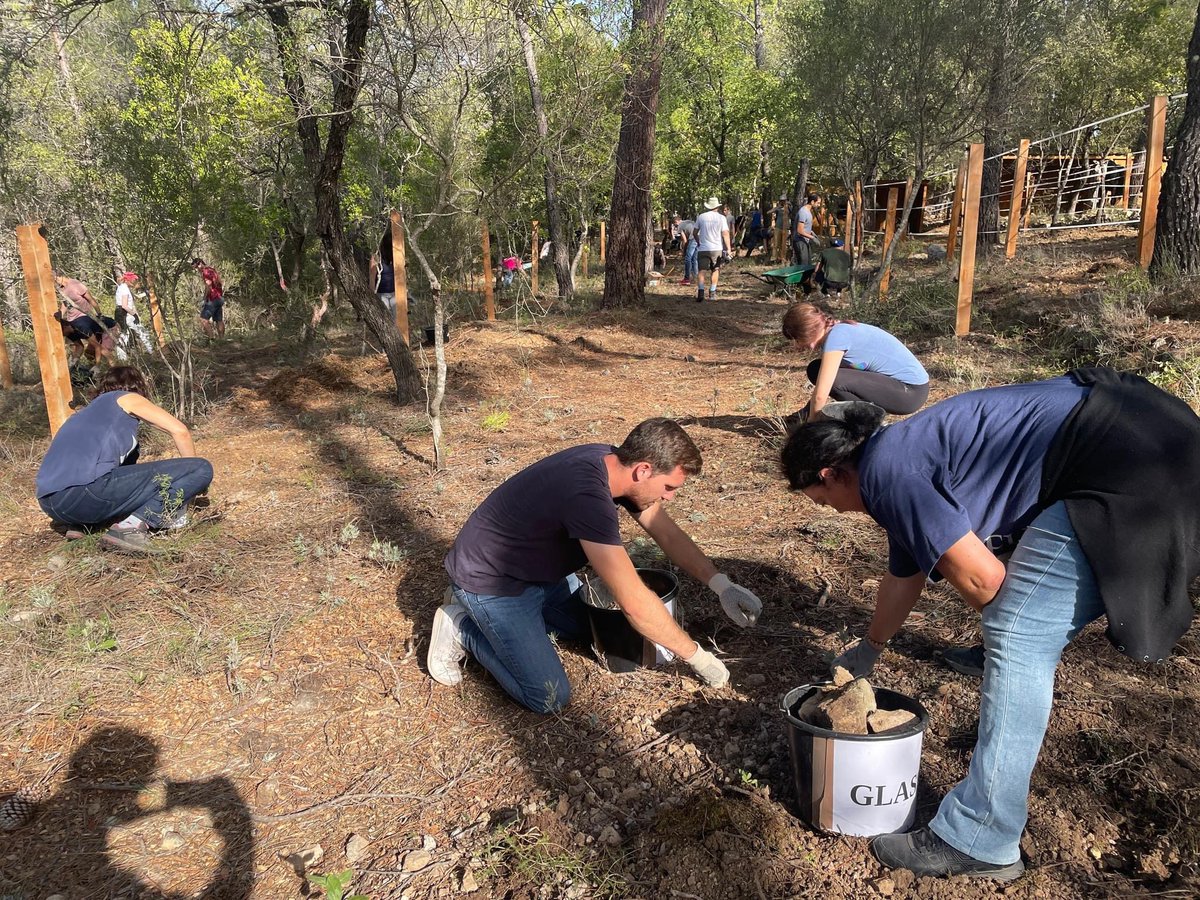 TWAM_FR's tweet photo. Magnifique journée mardi sous le soleil avec l’organisation d’un Team building solidaire pour 94 salariés de notre partenaire Amadeus qui ont relevé les manches pour venir en aide à Adélaïde, une victime de la tempête Alex.
#Volunteerday #teambuildingsolidaire #engagementcitoyen https://t.co/oQ4OcYjwGB
