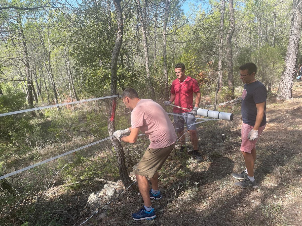 TWAM_FR's tweet photo. Magnifique journée mardi sous le soleil avec l’organisation d’un Team building solidaire pour 94 salariés de notre partenaire Amadeus qui ont relevé les manches pour venir en aide à Adélaïde, une victime de la tempête Alex.
#Volunteerday #teambuildingsolidaire #engagementcitoyen https://t.co/oQ4OcYjwGB