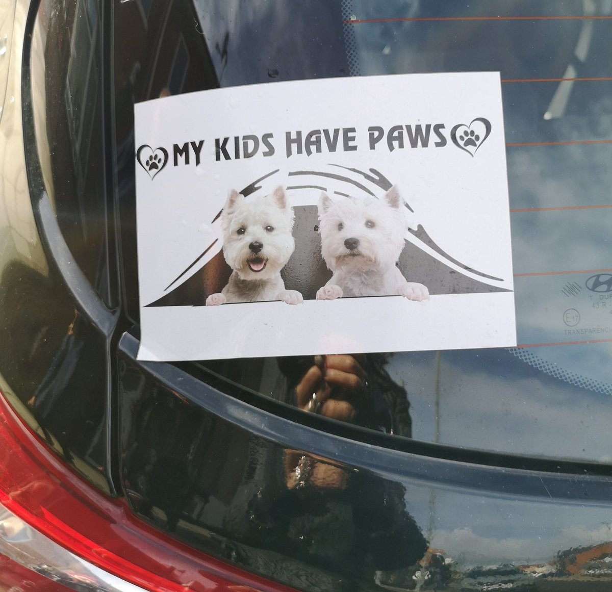 WightHot's tweet photo. My kids have paws. #Wroxall https://t.co/SDKMjwhZrc