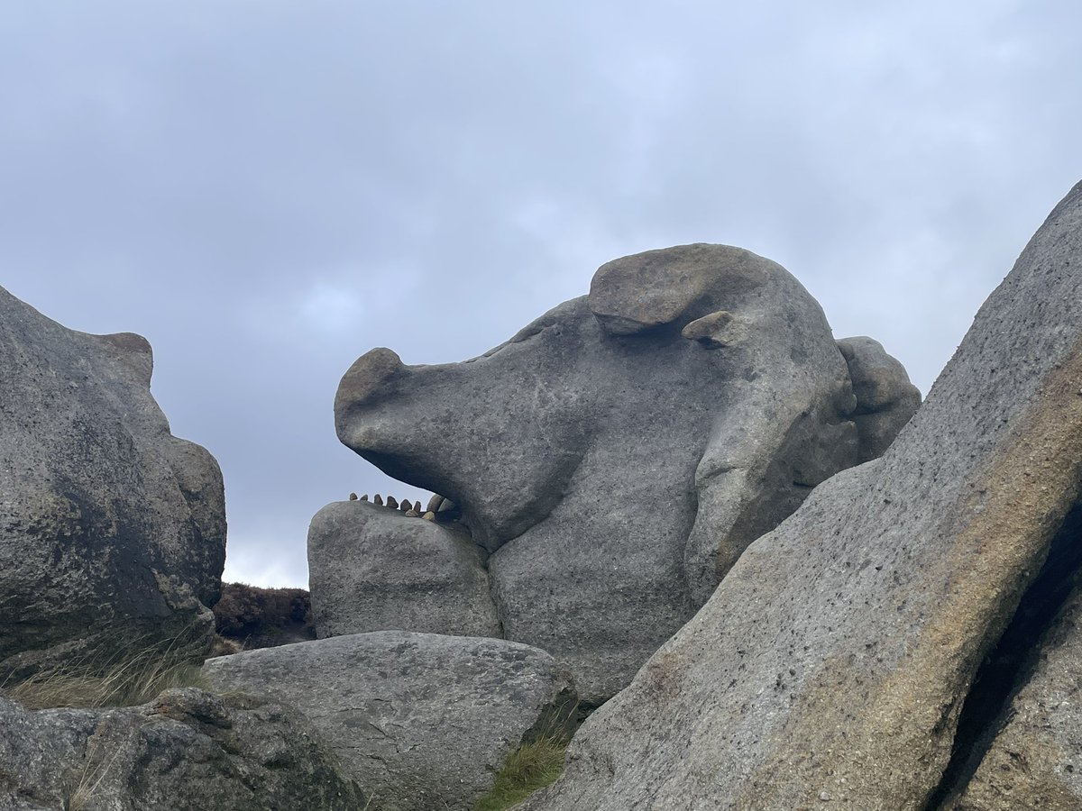 Anyone else see it??