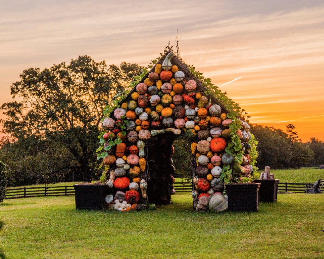 PAllenSmith's tweet photo. Well friends, we finally got a little glimpse of fall in Arkansas today! ๐ It was a beautiful day, and it wouldn't make a bad night for a bonfire either! ๐ฅ Itโs one of my favorite fall traditions. Who is joining me?! #mossmountainfarm #pumpkinhouse #pallensmith https://t.co/g34fz20KM5