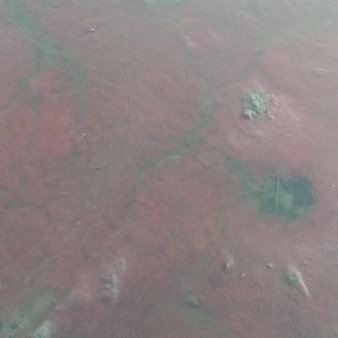 budidaya cacing sutra.....pakan alami hebat dan sederhana
<a href="/saktitrenggono/">Sakti Wahyu Trenggono</a> <a href="/bpbatmandiangin/">Bpbat Mandiangin</a> <a href="/kkpgoid/">KKP RI</a> <a href="/djpt_kkp/">Direktorat Jenderal Perikanan Tangkap</a> <a href="/bbpbat_sukabumi/">BBPBAT SUKABUMİ</a> <a href="/DitPakan/">Direktorat Pakan</a> <a href="/dkpjateng/">DKP Prov Jateng</a> @puslatluhkp <a href="/BudidayaKKP/">Budidaya KKP (DJPB)</a>