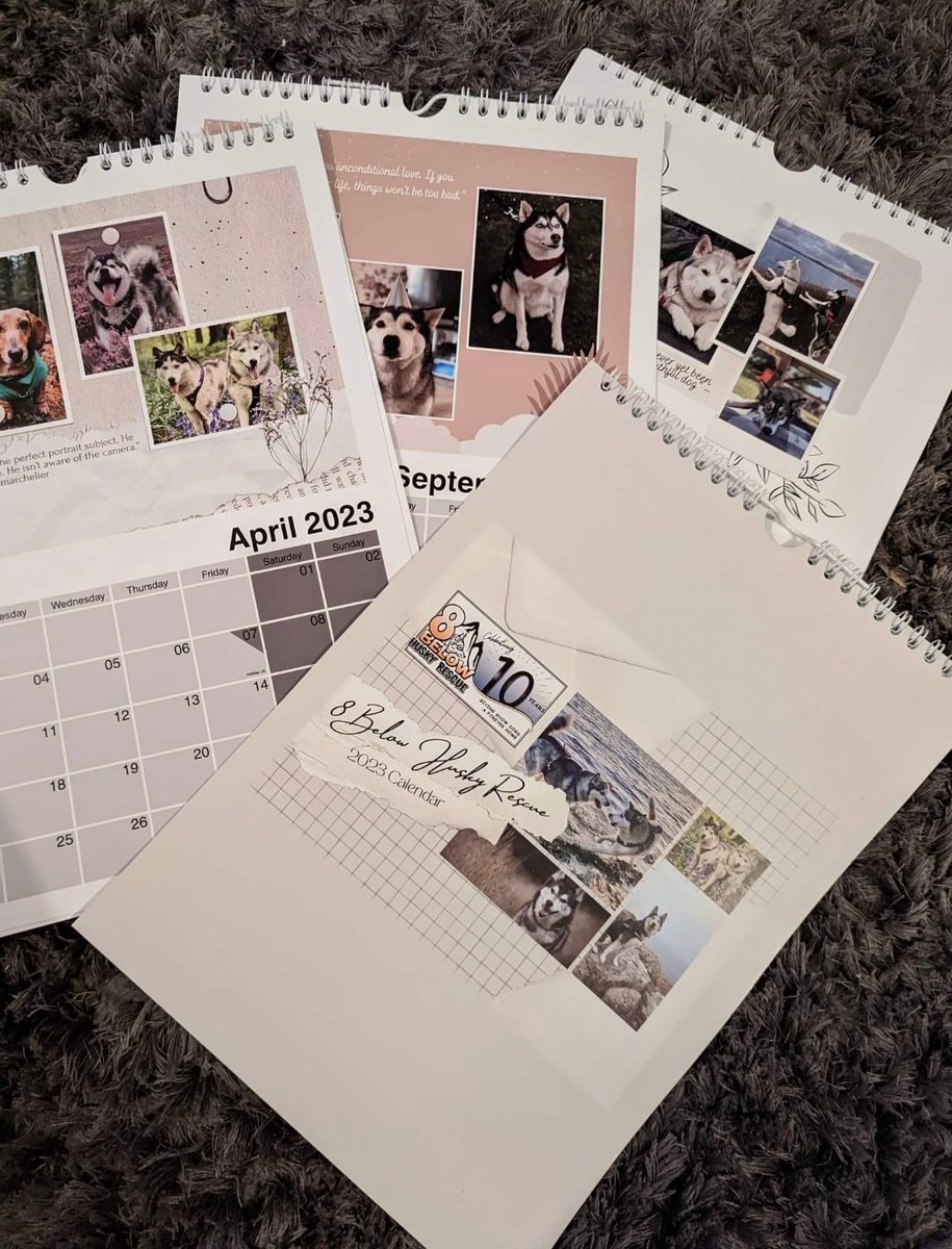 8 BELOW RESCUE CALENDAR 2023 🗓

Order yours today! 👇

8belowhuskyrescue.org/product/rescue…