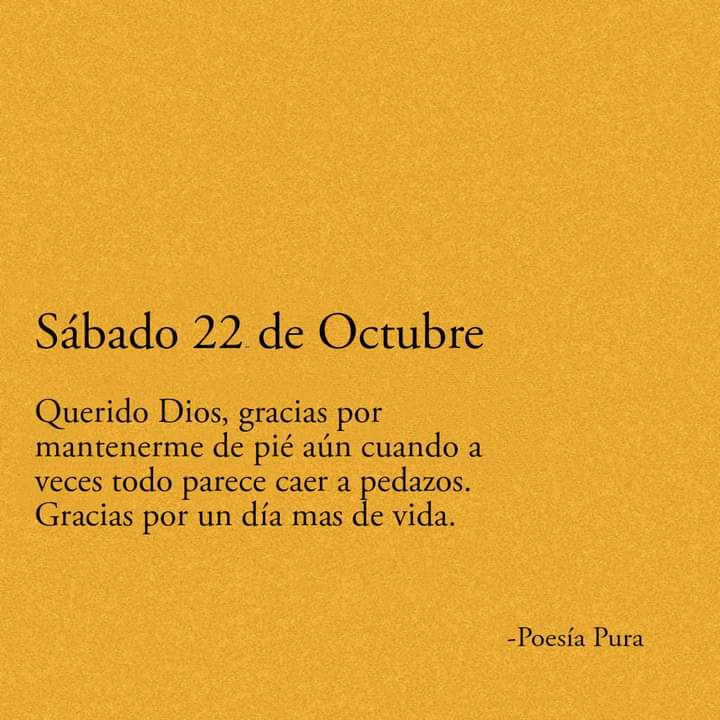 #22Oct|🇻🇪 🗺️ ¡ETIQUETA DEL DÍA!  ▶️ 

#VenezuelaEnAmorYPaz 

....@chande5035 
@GlendimarD @Johannysc26 @Estefrivx @alburgesjuanmrt @MatuteJaison @patriotavzlan @patriona51 @DianaP50969960 @TuiteroPatria_ @MkPatriota @jesus37233