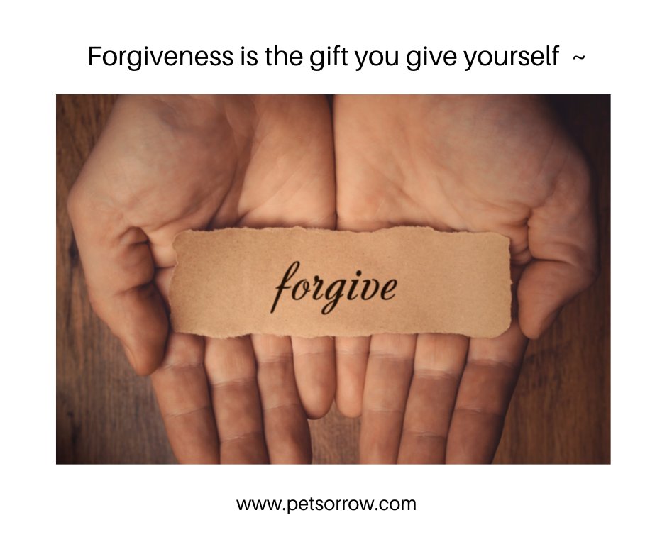 When you choose to forgive those who hurt you, you take away their power.
Forgiveness is the gift you give yourself, not the person you are forgiving 🦋

#petlossgrief #healingsolutionsforpetloss #griefandloss