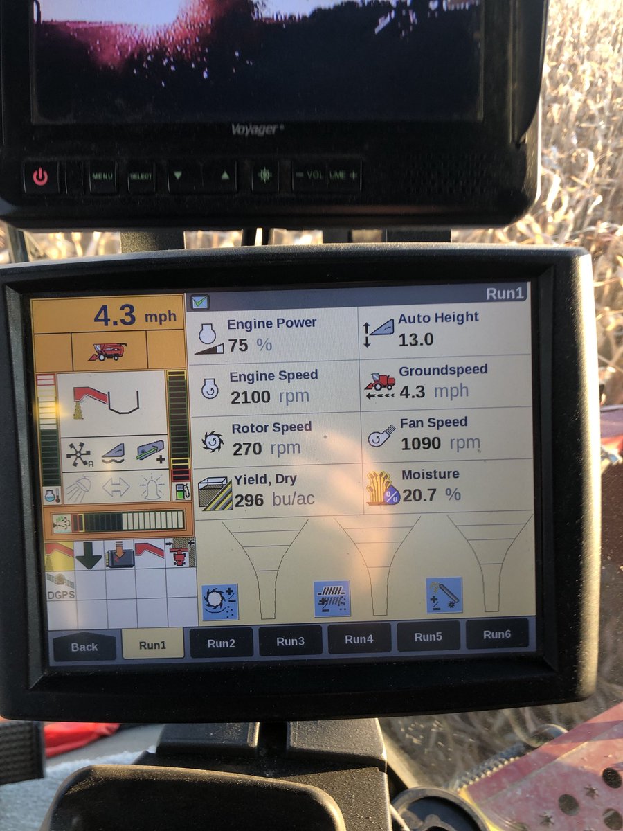 LisaASchwinn's tweet image. ⁦@Asgrow_DEKALB⁩ ⁦⁦@CoAllianceCoop⁩ DKC59-82VT2P stepping out in Northern Madison County, Indiana.  This hybrid is shining ☀️☀️☀️☀️