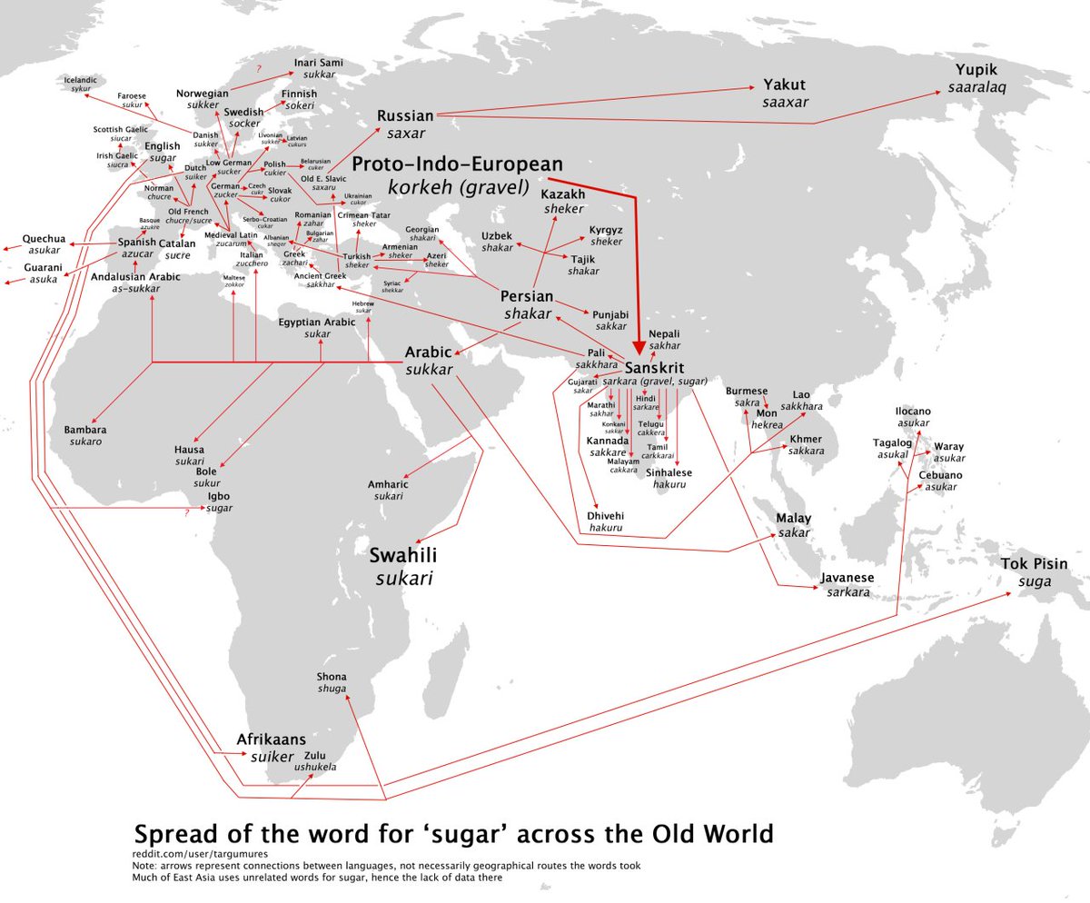The spread of the Sanskrit word 'sarkara' (sugar) across the Old World.