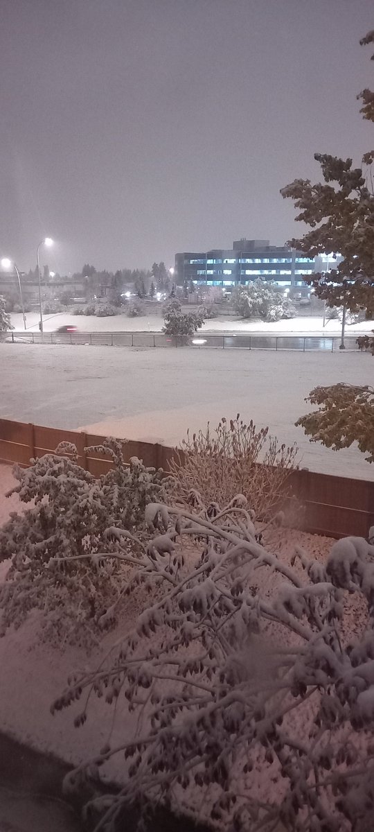 rene_pina's tweet photo. Good morning.  This is the first snowfall in #Calgary this winter 2022 https://t.co/b1Vs88cjoB