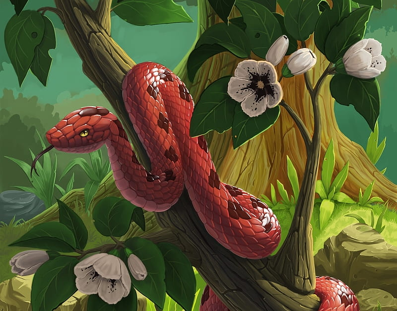 Kandaar's Jungle tweet media