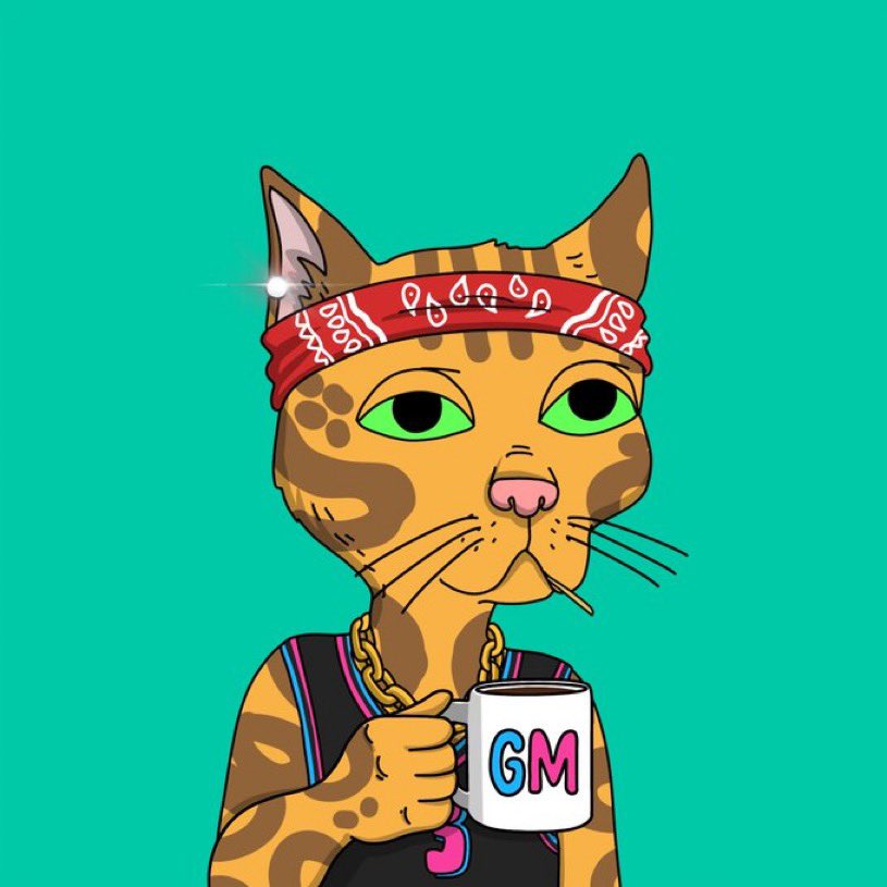 GMGG. Happy Caturday