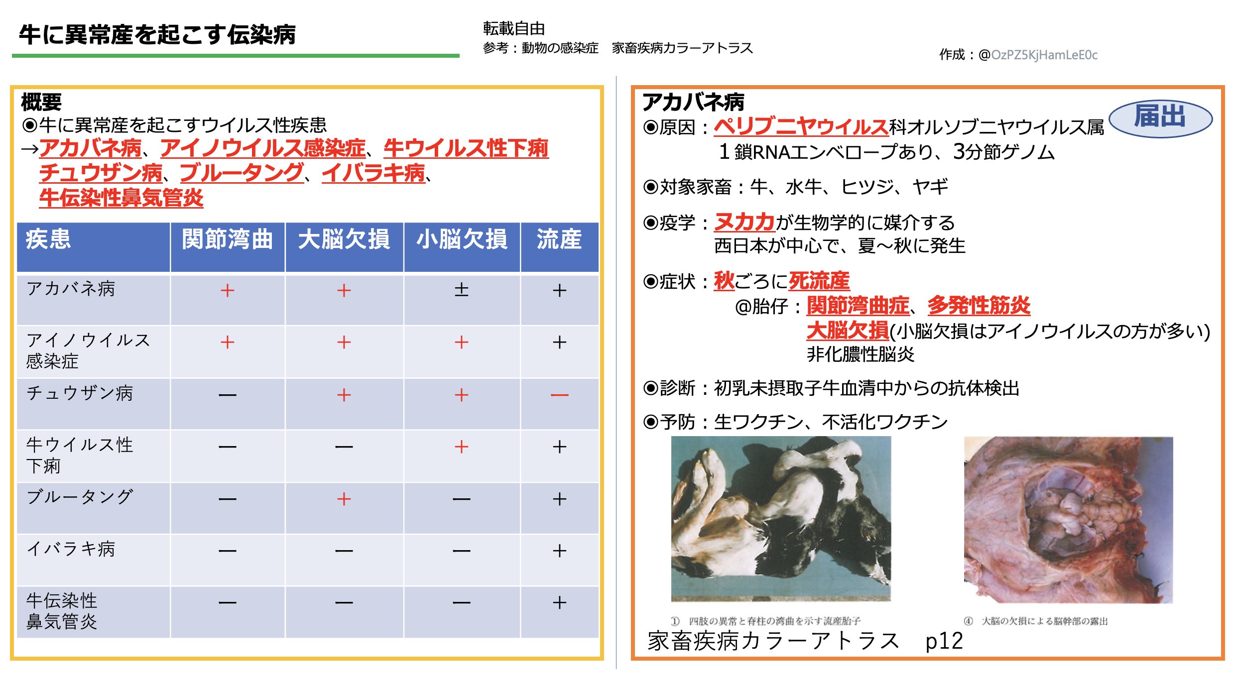 第54回~第69回獣医師国家試験問題·解説
