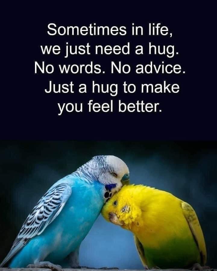 akoabdulsamad's tweet photo. It is your choice who you let around you. You want people who support your growth not stifle it. It is also ok to need a hug just know the difference between a hug with love and a choke hold with a phony smile. ￼￼ https://t.co/8aqJtbbqHs