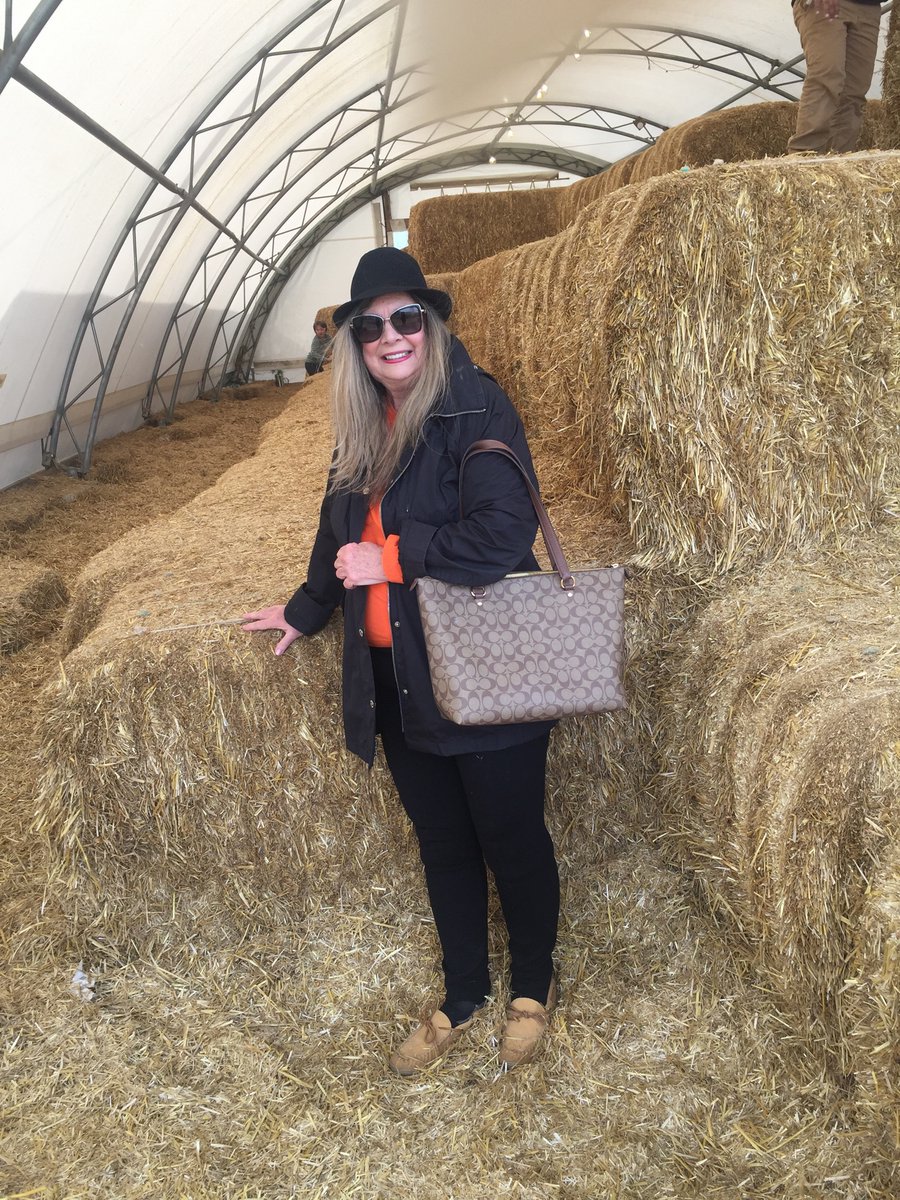We went for a “roll in the hay” for Sady’s 11th Birthday at the wonderful <a href="/konowscornmaze/">Konows Corn Maze</a> in Homer Glen <a href="/barbarar2k1/">Barbara account</a> <a href="/YesImJFK/">Jimmy K</a>