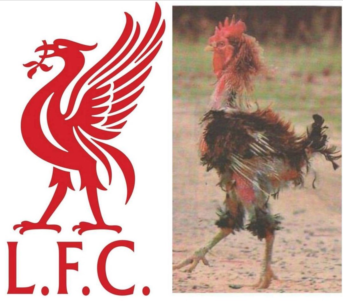 TrollFootball's tweet image. Liverpool vs Man City            Liverpool vs Nottingham