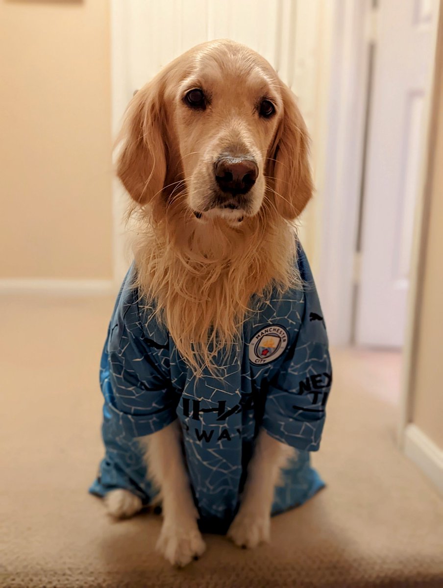 ABeckMitch's tweet photo. Dogs are Cityzens too! #myPLMorning
#myPLMornings
@NBCSports
@NBCSportsSoccer https://t.co/j94esFAIXo