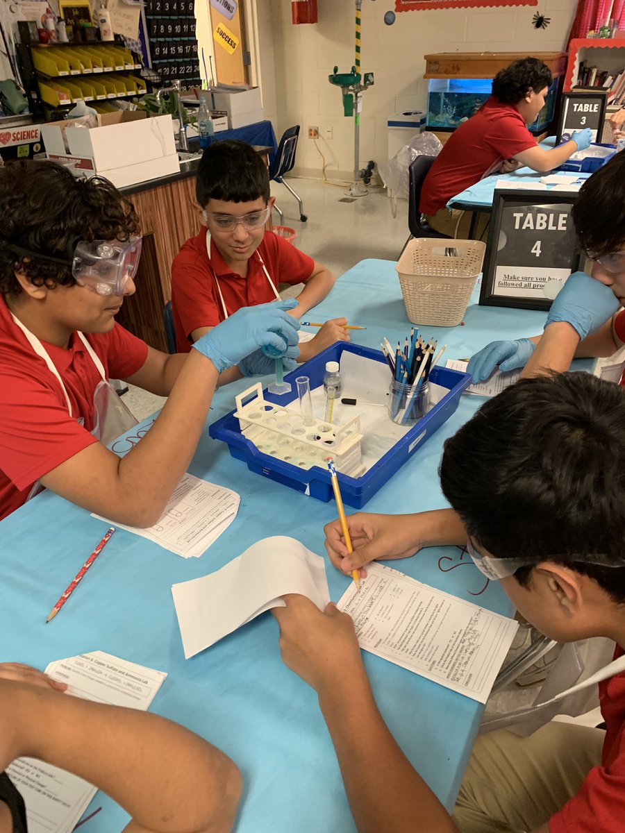 hgomez3931's tweet photo. It was a busy week doing chemistry labs-chemical vs.physical changes! “Foam monsters”@LMMSPatriots #allaboutscience @MarianaDevlin2 https://t.co/NchkDBfFTs