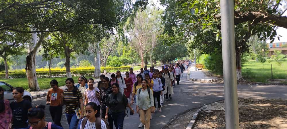 docsultansingh's tweet photo. If Govt. Of Haryana can't listen to the students of only agriculture University of Haryana then there is no need to waste taxpayer's money in Agriculture education.
#justice_for_ADO_aspirants @Agriculturehry @cmohry @PMOIndia https://t.co/M8KVjKk0Od