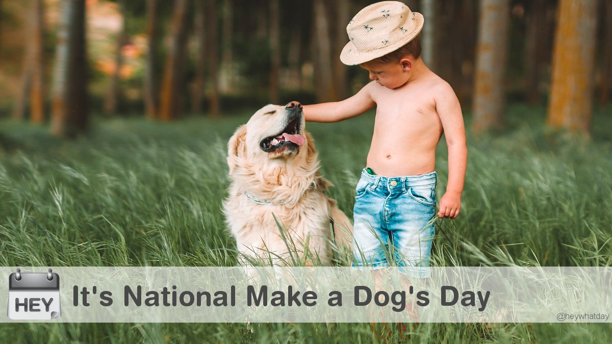 It's National Make a Dog's Day! #NationalMakeADogsDay #MakeADogsDay #HappyDog